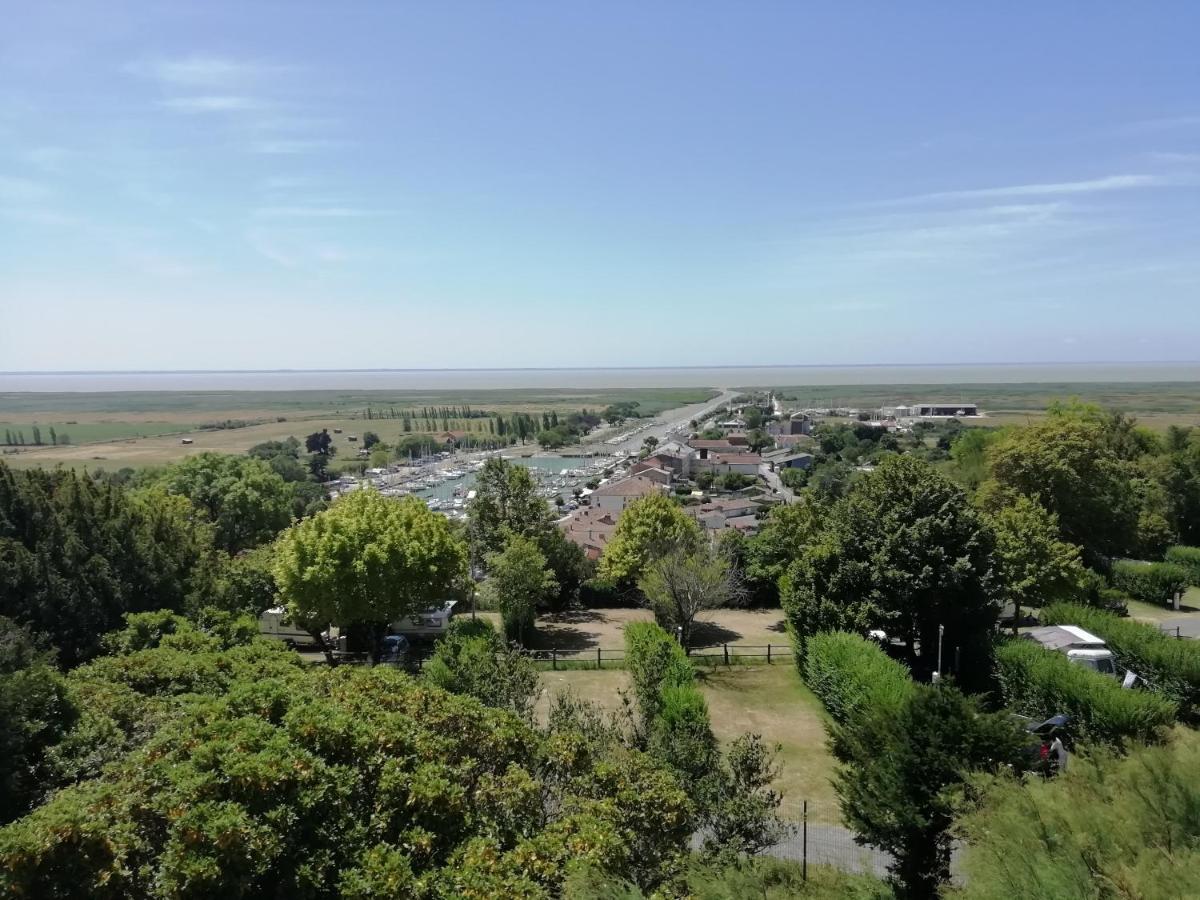 Chateau Des Salles Saint-Fort-sur-Gironde Exterior foto