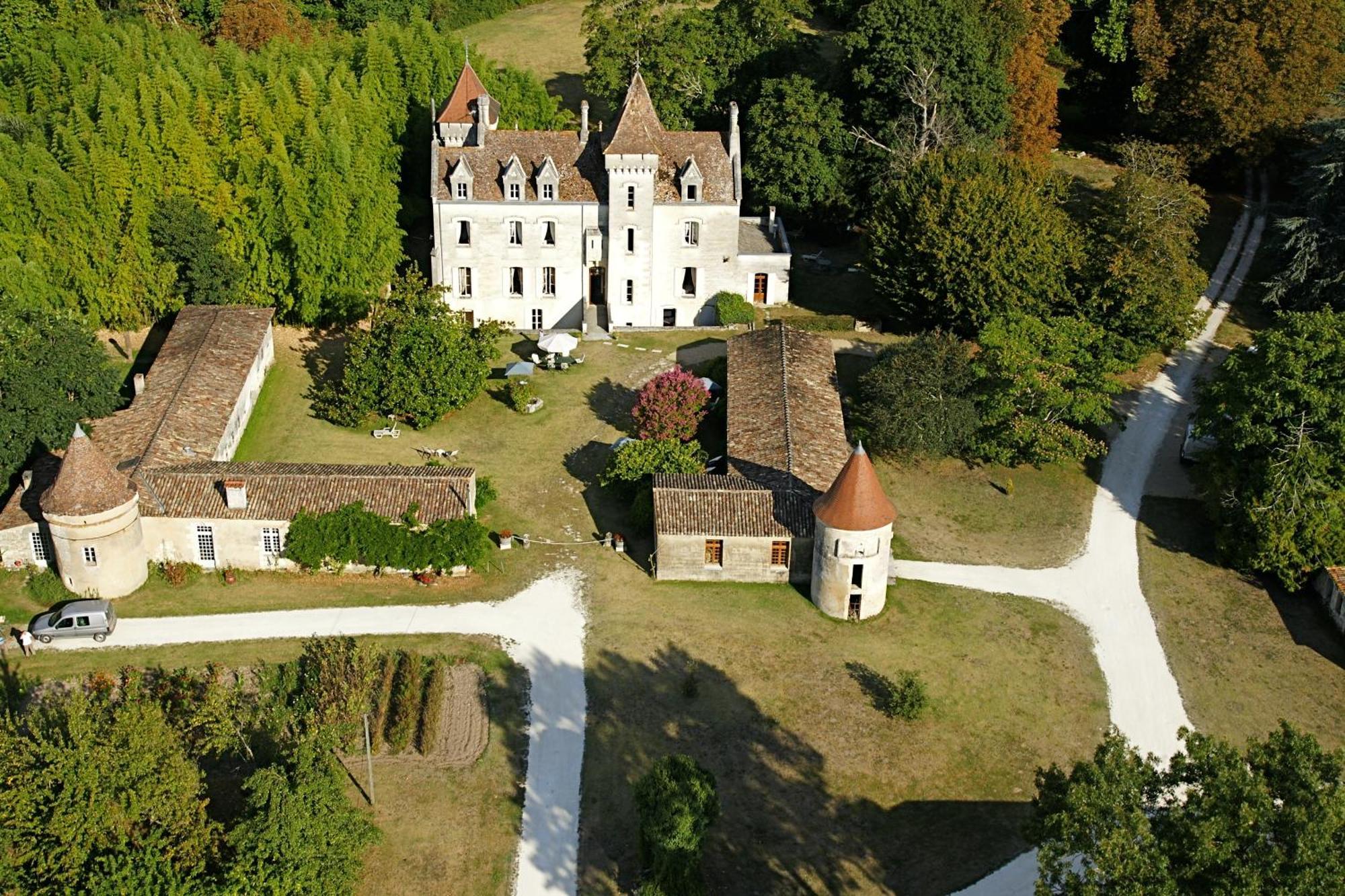 Chateau Des Salles Saint-Fort-sur-Gironde Exterior foto